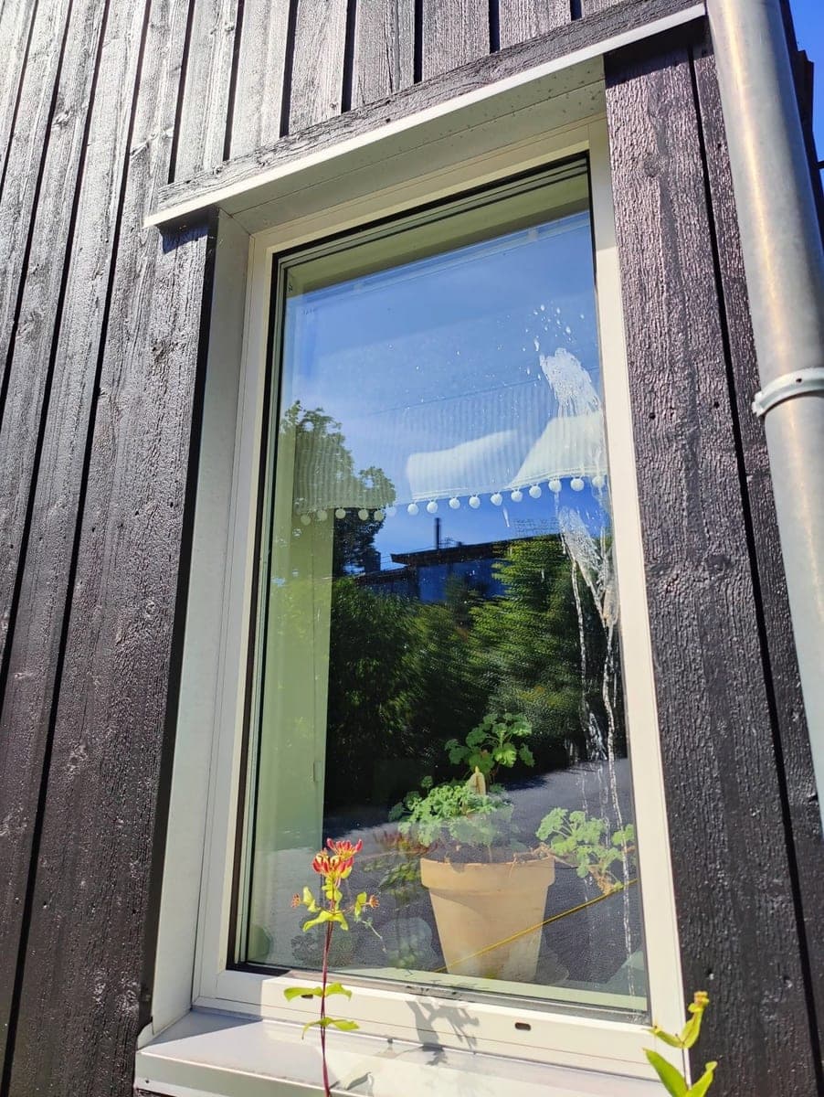 Vindu med fugleskitt før vask