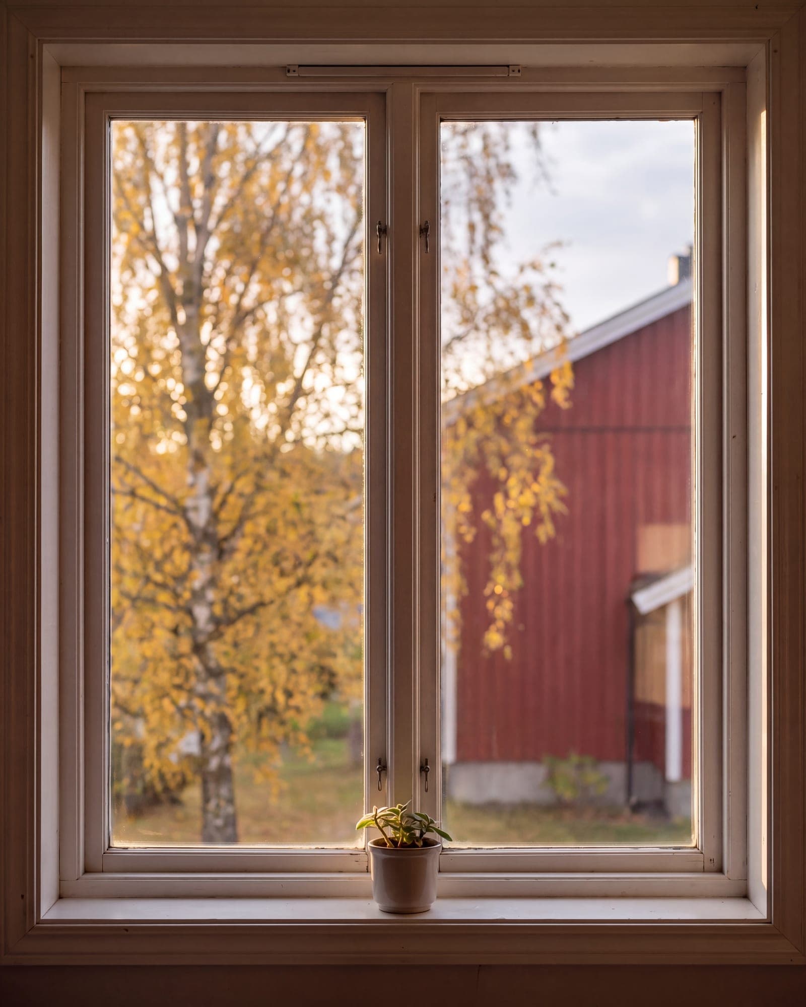 Den samme ruta, blank og uten striper